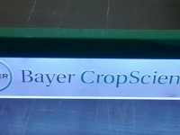 Световой планшет (кристалайт)