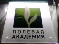 Световой планшет (кристаллайт)